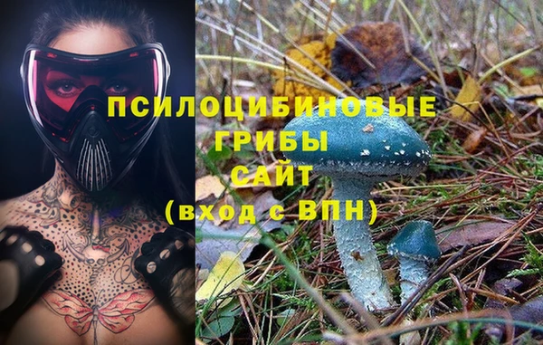 каннабис Балахна