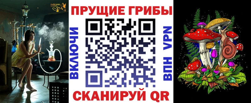 Псилоцибиновые грибы Psilocybe  Щёкино 